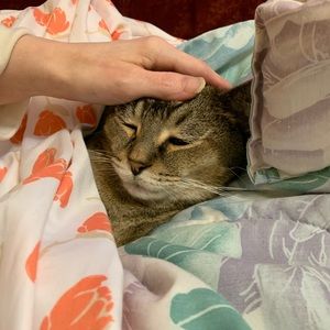 Meet your Posher, Judy